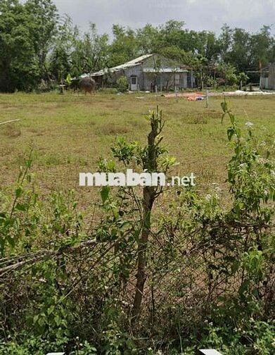 Cần bán lô đất thổ cư đẹp tại Thôn 2 Thái Sơn, Điện Bàn – Quảng Nam