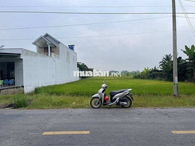 Bán đất mặt tiền ngã 4 Lạc Tấn ( Long An)