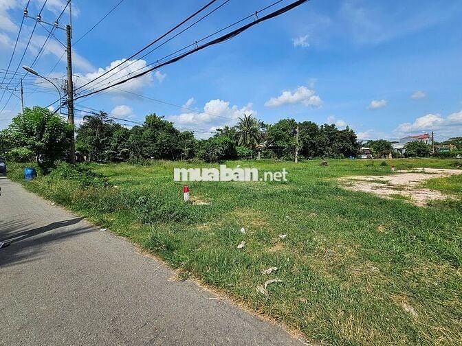 Trung tâm hành chính xã Thái Mỹ. 218m2 1/ Tỉnh Lộ 7. Bán gấp 1.72 tỷ