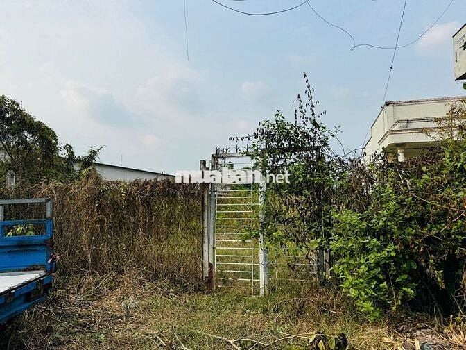 ALO ALO !!!LÔ ĐẤT MẶT TIỀN BÙI THỊ HE VỊ TRÍ ĐẸP GIÁ NGỘP ,SHR