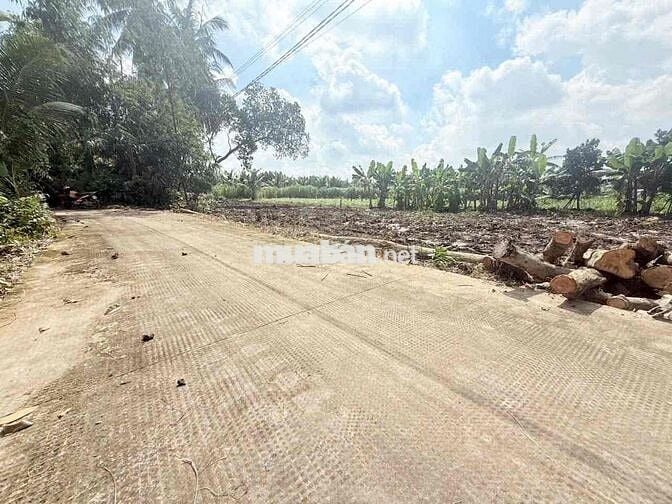 Bán 2000 m2 đất trồng cây lâu năm sát bên chợ kỳ Son đường Đan 4 m