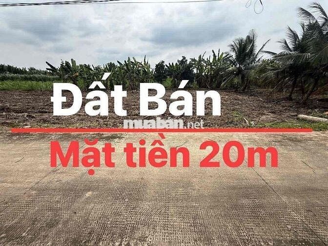 Bán 2000 m2 đất trồng cây lâu năm sát bên chợ kỳ Son đường Đan 4 m