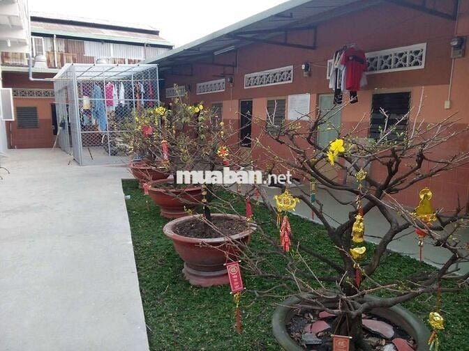 Phòng trọ sinh viên - gia đình