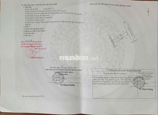 BÁN ĐẤT MẶT TIỀN QL 62, XÃ TÂN LẬP, MỘC HÓA, LONG AN. SỔ ĐỎ CHÍNH CHỦ