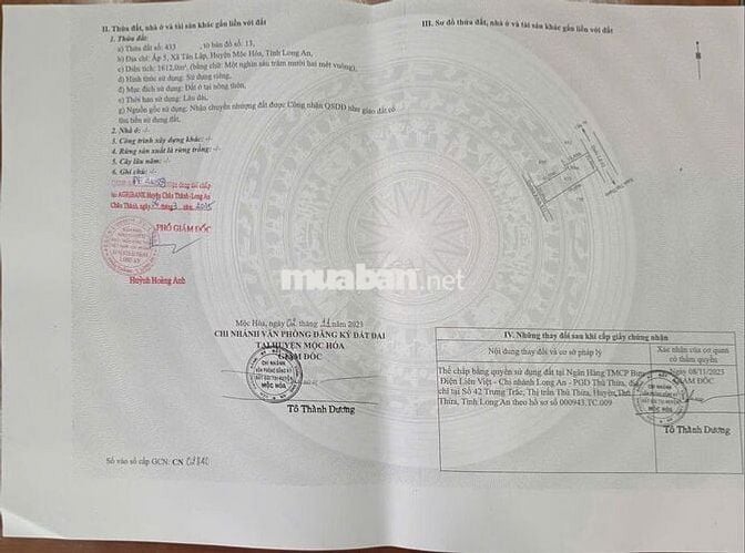 BÁN ĐẤT MẶT TIỀN QL 62, XÃ TÂN LẬP, MỘC HÓA, LONG AN. SỔ ĐỎ CHÍNH CHỦ