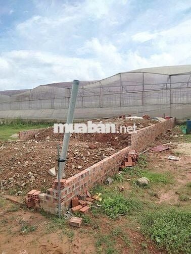 Chính Chủ Cần Bán Lô Đất Vị Trí Đẹp Tại xã Lạc Dương Lâm Đồng