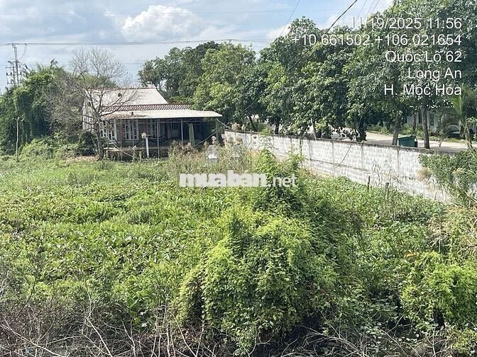 BÁN ĐẤT MẶT TIỀN QL 62, XÃ TÂN LẬP, MỘC HÓA, LONG AN. SỔ ĐỎ CHÍNH CHỦ