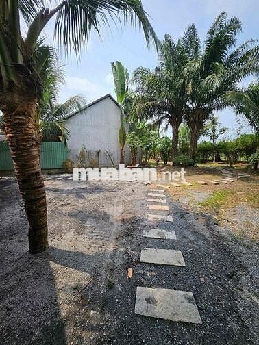 cho thuê resort full nội thất 850m2 có 2pn 2wc phước thạnh,củ chi