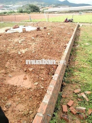 Chính Chủ Cần Bán Lô Đất Vị Trí Đẹp Tại xã Lạc Dương Lâm Đồng