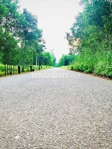 Xã Đồi 61 full thổ cư 130m2 sổ hồng riêng công chứng ngay