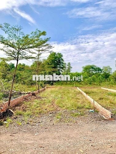 Xã Đồi 61 full thổ cư 130m2 sổ hồng riêng công chứng ngay