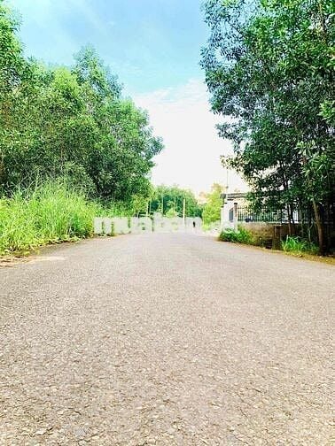 Xã Đồi 61 full thổ cư 130m2 sổ hồng riêng công chứng ngay