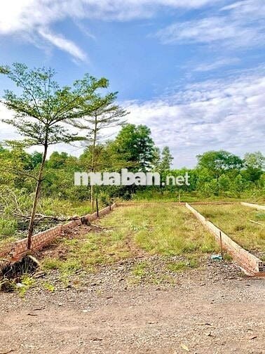 Xã Đồi 61 full thổ cư 130m2 sổ hồng riêng công chứng ngay