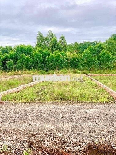 Xã Đồi 61 full thổ cư 130m2 sổ hồng riêng công chứng ngay