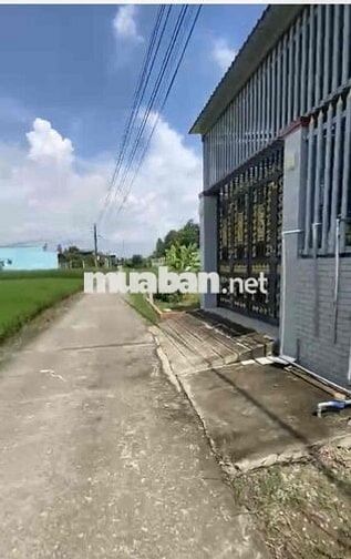 CẦN BÁN GẤP ĐẤT THỔ CƯ TẠI LONG AN