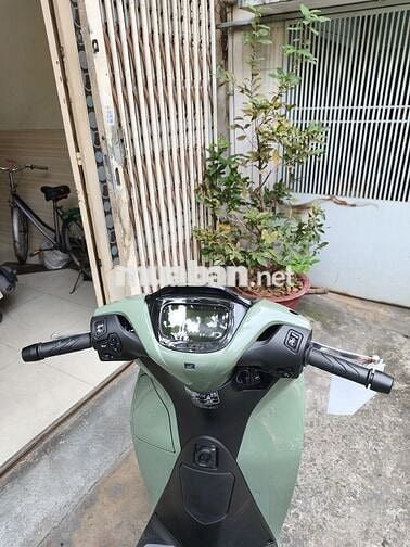 Honda SH160i Sport 2026 Xanh bơ