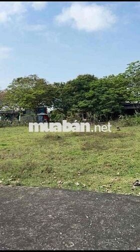 ĐẤT XÂY BIỆT THỰ - ĐẦU TƯ SINH LỜI CAO 250m2 FULL THỔ AN PHÚ TÂY