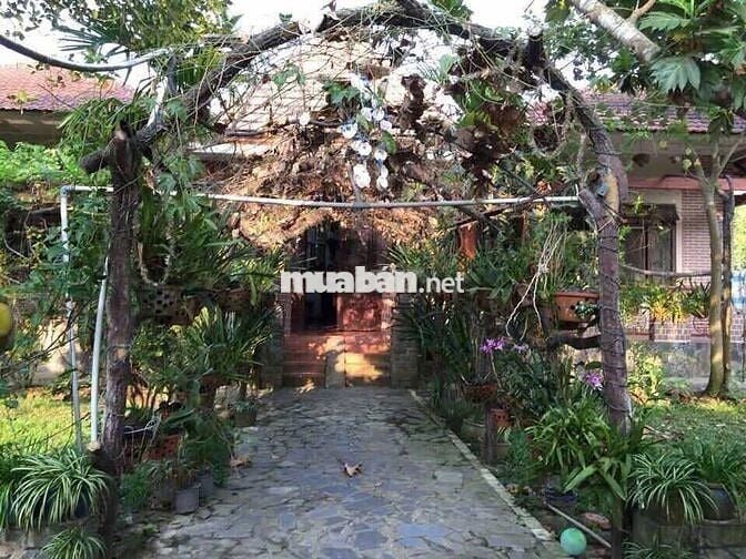 Biệt thự vườn 2.700m² Tân Thông Hội, Củ Chi - Giá thuê rẻ 20Tr, hồ bơi