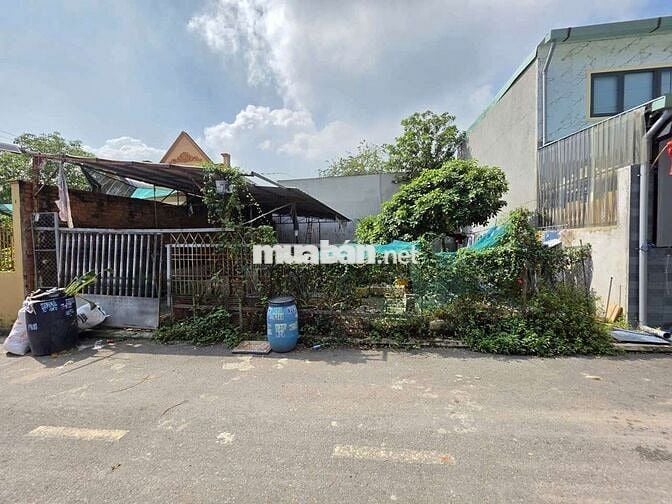 Đất ngay đường Trương Văn Vĩnh phường Tân Bình Tp Dĩ An
