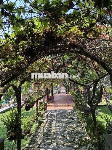 Biệt thự vườn 2.700m² Tân Thông Hội, Củ Chi - Giá thuê rẻ 20Tr, hồ bơi