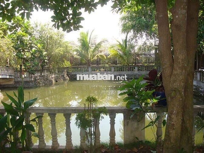 Biệt thự vườn 2.700m² Tân Thông Hội, Củ Chi - Giá thuê rẻ 20Tr, hồ bơi