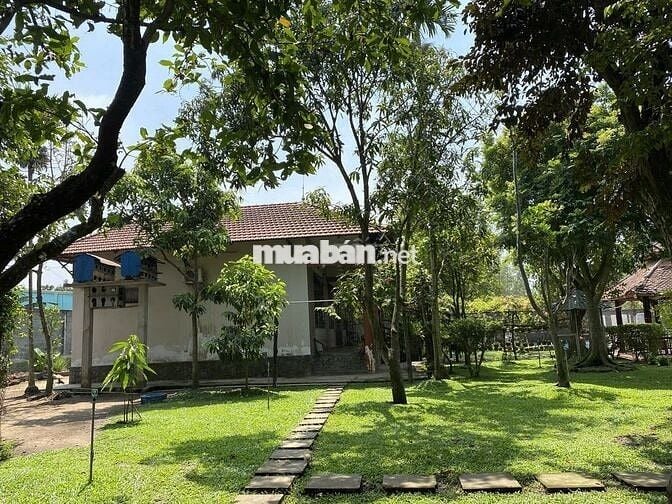 Biệt thự vườn 2.700m² Tân Thông Hội, Củ Chi - Giá thuê rẻ 20Tr, hồ bơi