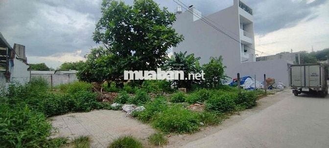 Đất Hưng Định Thuận An Nhà Thờ Búng.đường 4m xây trọ 6x34,5 thổ 120m