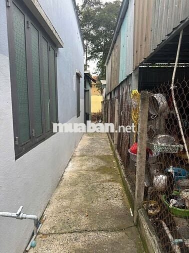 Chính chủ cho thuê nhà nguyên căn tại Tân Phú Trung, Củ Chi