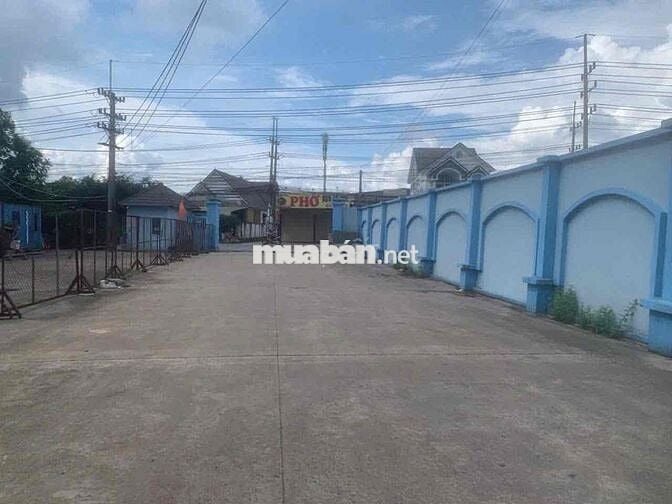 cho thuê xưởng (thuận an, bình dương cũ)  💥diện tích xưởng : 1500m2  s