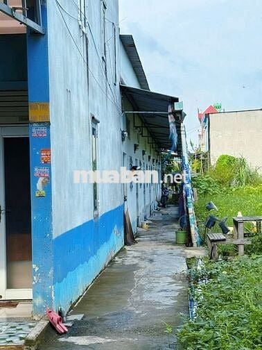 Bán căn nhà + 6P trọ ở ngay, Tân Hiệp,Hóc Môn 125m2 SHR giá 1 tỉ 350tr