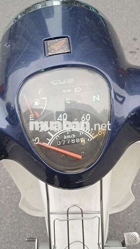 Honda Cub Xanh đậm, Trắng