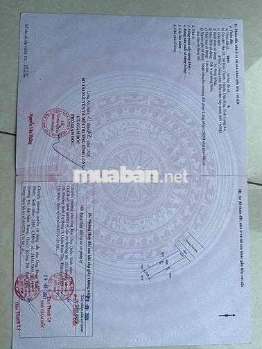 SANG NHƯỢNG ĐẤT 10x48 FULL THỔ CƯ