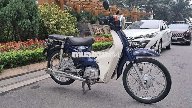Honda Cub Xanh đậm, Trắng