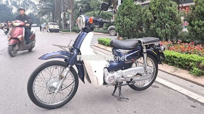 Honda Cub Xanh đậm, Trắng