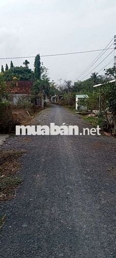 Bán đất tặng nhà gần KCN Hiệp Thạnh