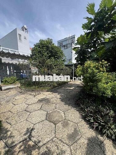 VP MẶT TIỀN KINH DOANH doanh thu 10 tỷ/năm 1600M2. 8/60x40M, HB TĐ