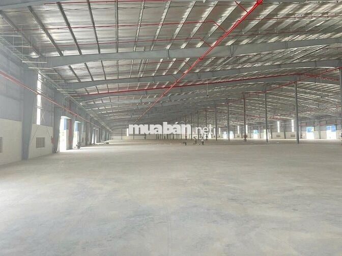 Cho thuê kho xưởng khu công nghiêp long hậu Tỉnh Tây Ninh