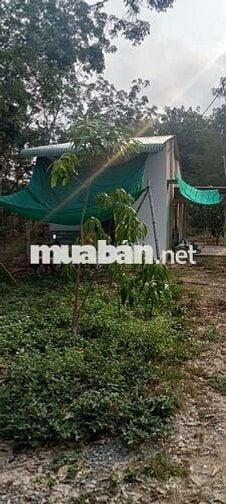 Bán đất tặng nhà gần KCN Hiệp Thạnh