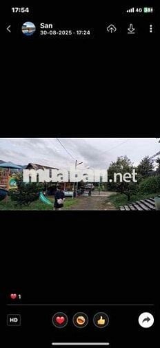 Bán Quán Nhậu Hồ Câu Dịch Vụ Vườn Sầu Riêng thu Hoạch