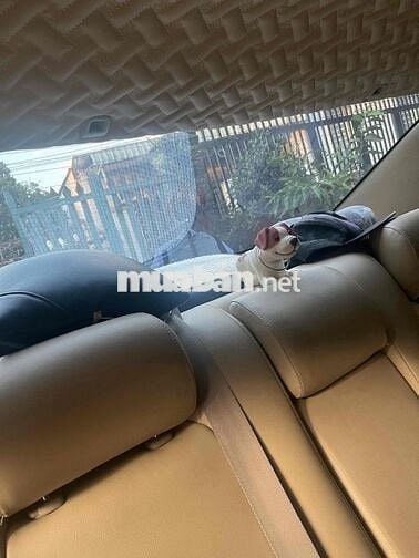 Toyota Camry 2005 còn rất ngon