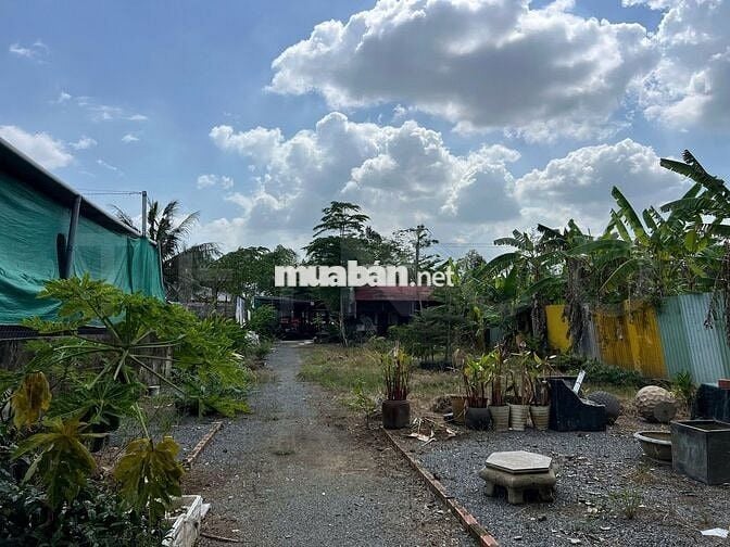 Mặt bằng 1.400 m² có sẵn mô hình quán sân vườn, đường Võ Văn Kiệt