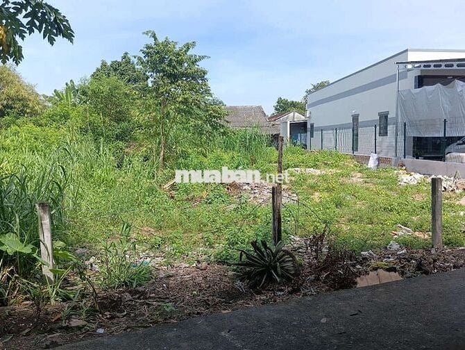 Đất xã Phước Hải (Phước Lợi-Phước Hội)