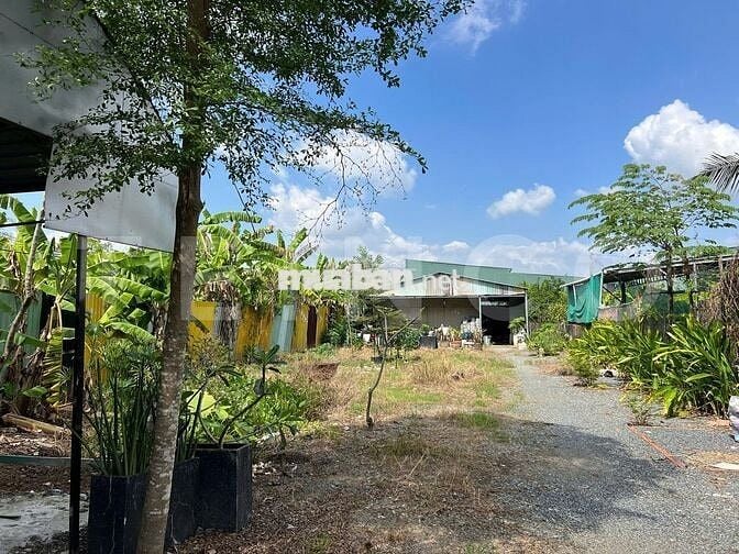 Mặt bằng 1.400 m² có sẵn mô hình quán sân vườn, đường Võ Văn Kiệt