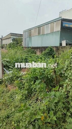 GẤP GẤP MẶT TIỀN LÊ DUẨN-VŨ HỒNG PHÔ-DT: 350,8 CÓ 300 THỔ. GIÁ: 23 TỶ