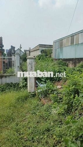 GẤP GẤP MẶT TIỀN LÊ DUẨN-VŨ HỒNG PHÔ-DT: 350,8 CÓ 300 THỔ. GIÁ: 23 TỶ