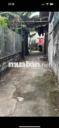 🧏 Hàng Mới nhờ anh em kết nối- Xâm Thị - Hồng Vân - Đang Sôi Động Rực