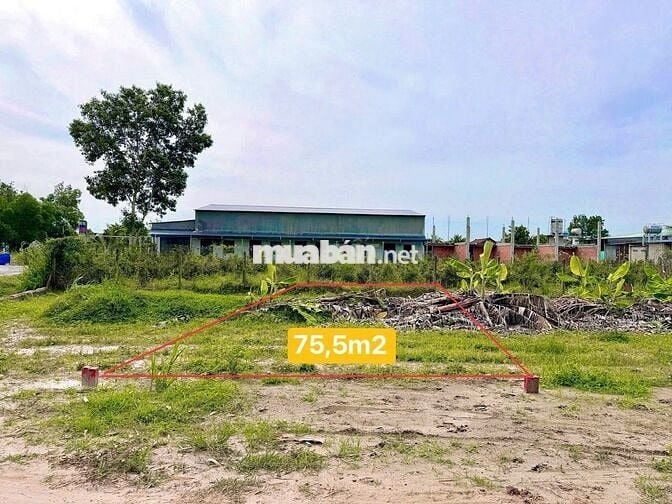 ĐẤT NỀN CẠNH KCN PHƯỚC ĐÔNG - 435 TRIỆU, SHR, DC ĐÔNG, ĐẦY ĐỦ TIỆN ÍCH