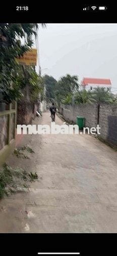 🧏 Hàng Mới nhờ anh em kết nối- Xâm Thị - Hồng Vân - Đang Sôi Động Rực