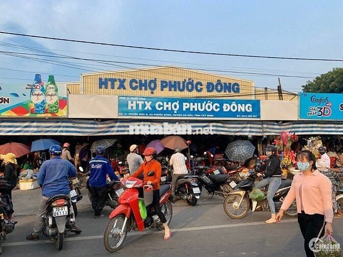 ĐẤT NỀN CẠNH KCN PHƯỚC ĐÔNG - 435 TRIỆU, SHR, DC ĐÔNG, ĐẦY ĐỦ TIỆN ÍCH