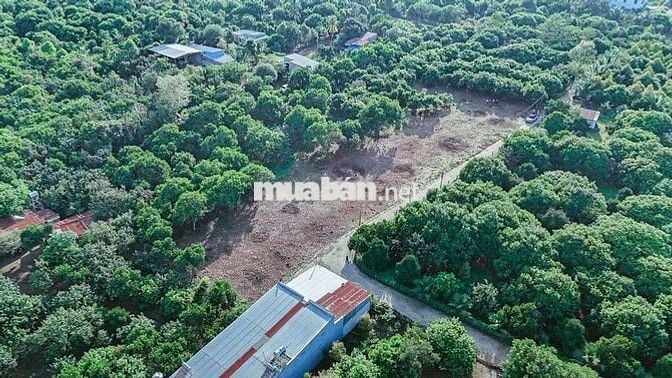 Đất nền P. Bình Lộc, Đồng Nai, tiện ích xung quanh đầy đủ.